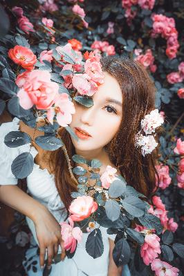 免费高清看姐姐第二集剧情？数字揭秘精彩看点！